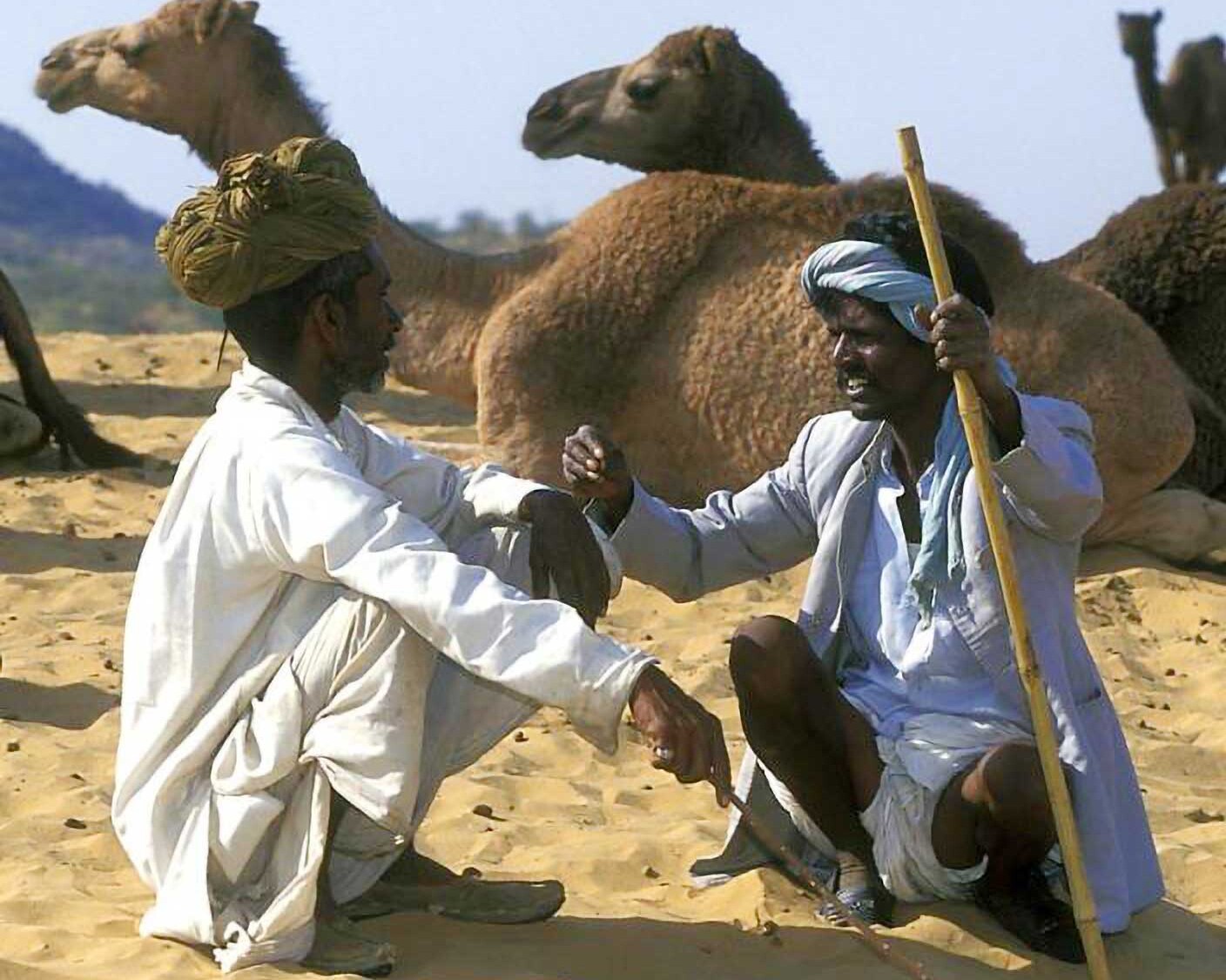 rural india tour