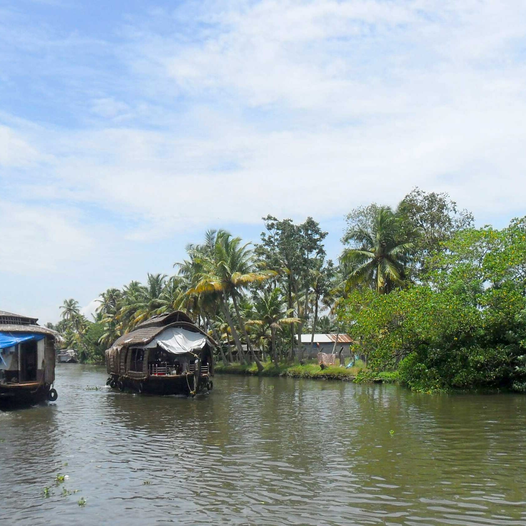 Kerala Alleppy to Kumarakom backwaters cruise on houseboat