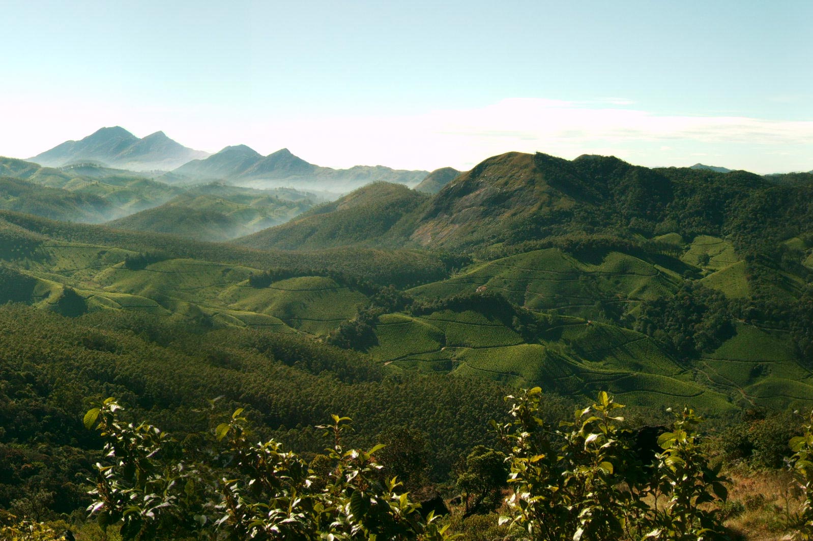 munnar hills tea plantations kerala - munnar-hills-tea-plantations-kerala Munnar hills tea plantations in Kerala