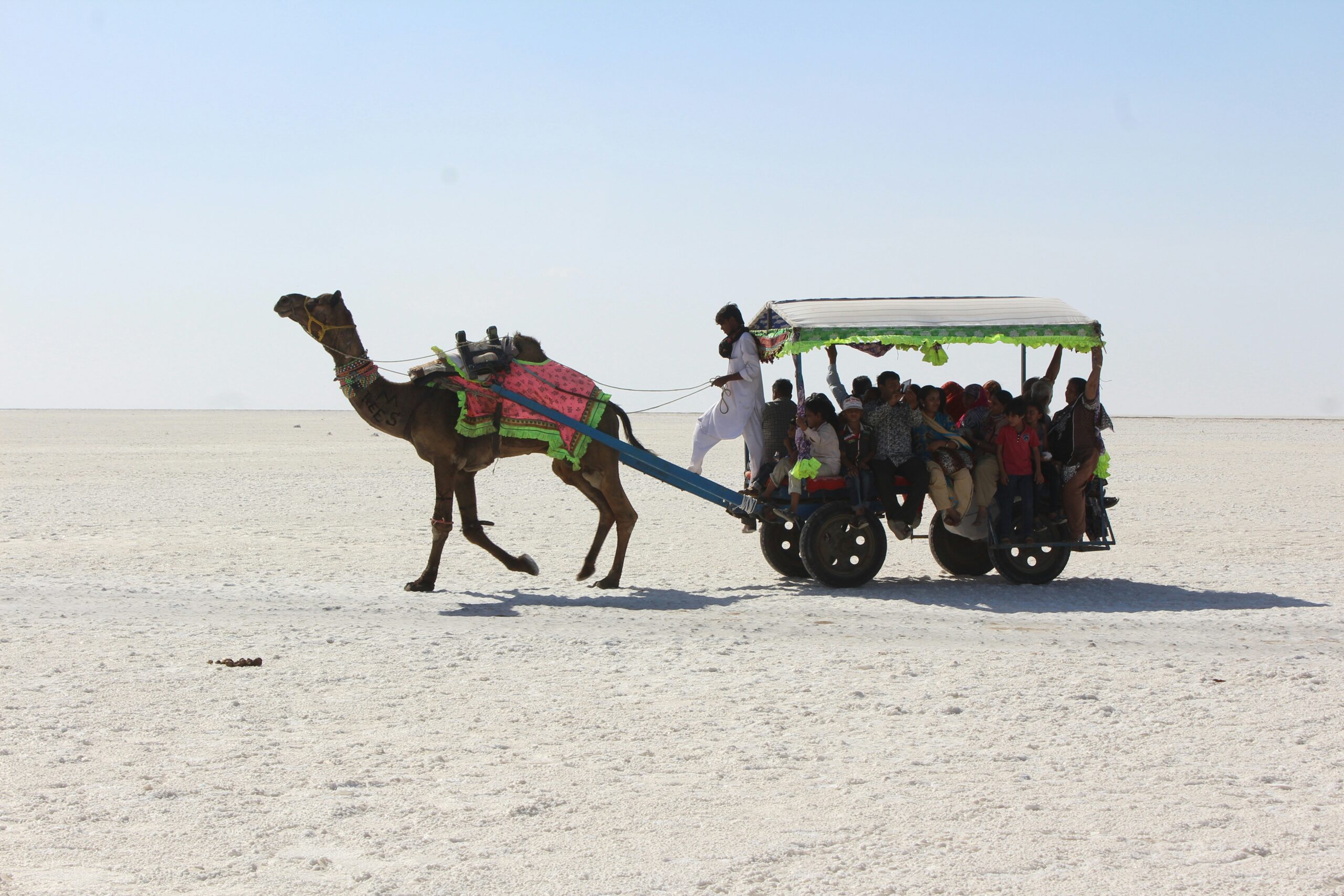 Camel Desert Safari in Kutuch