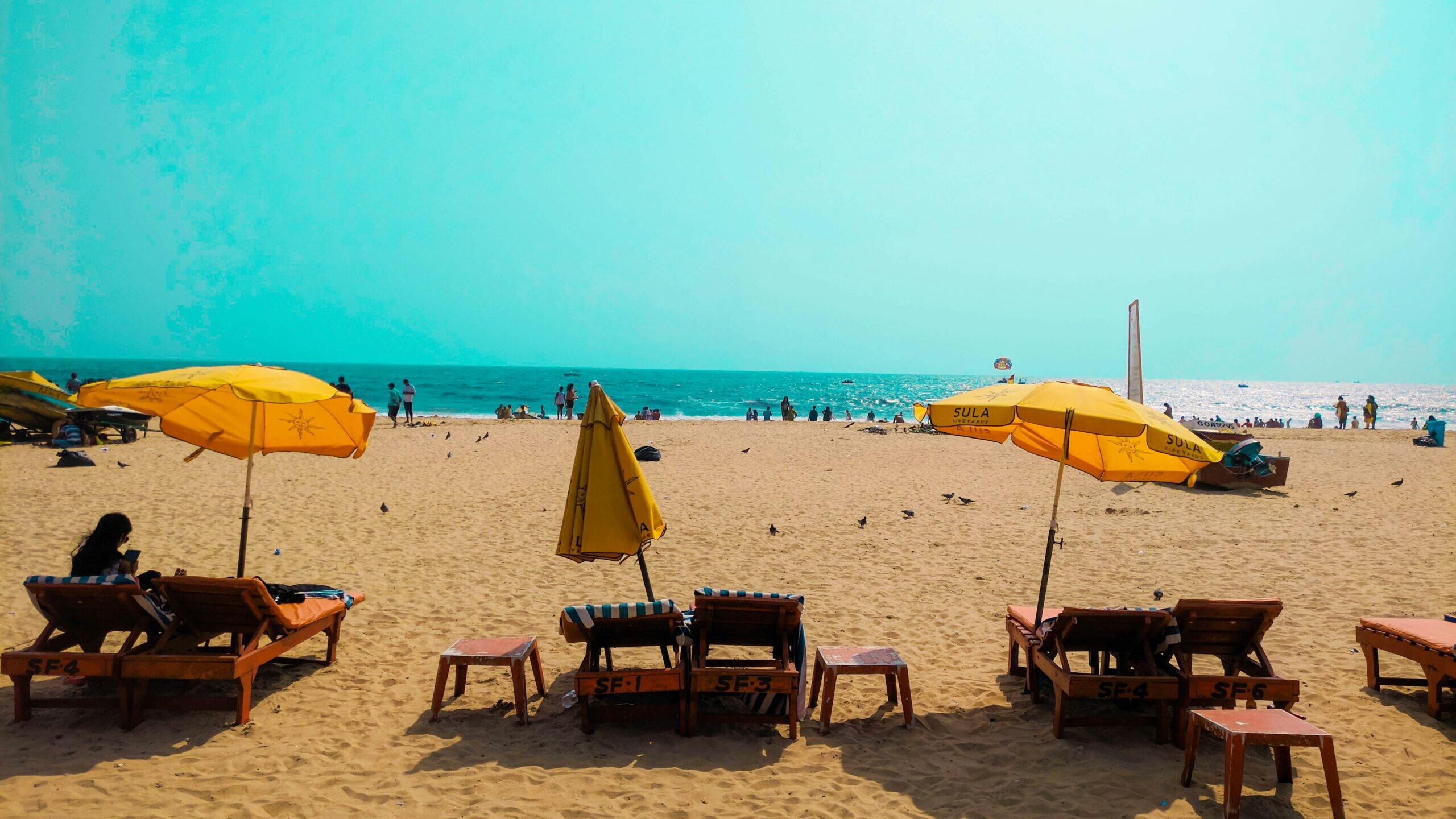 sarang pande IijeyJbmrec unsplash scaled uai - Private Driver and Tour Guide - Discover the Hidden Gems of Goa: A 7-Day Beach and Culture Tour for Unforgettable Experiences