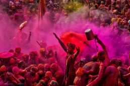 holi festival tour