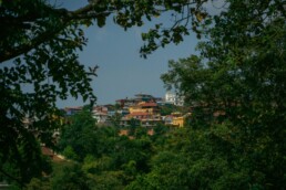 aakash goel nbrx 0HGC1s unsplash scaled uai - Private Driver and Tour Guide - aakash-goel-nbrx_0HGC1s-unsplash