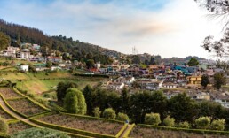 ooty scaled uai - Private Driver and Tour Guide - ooty