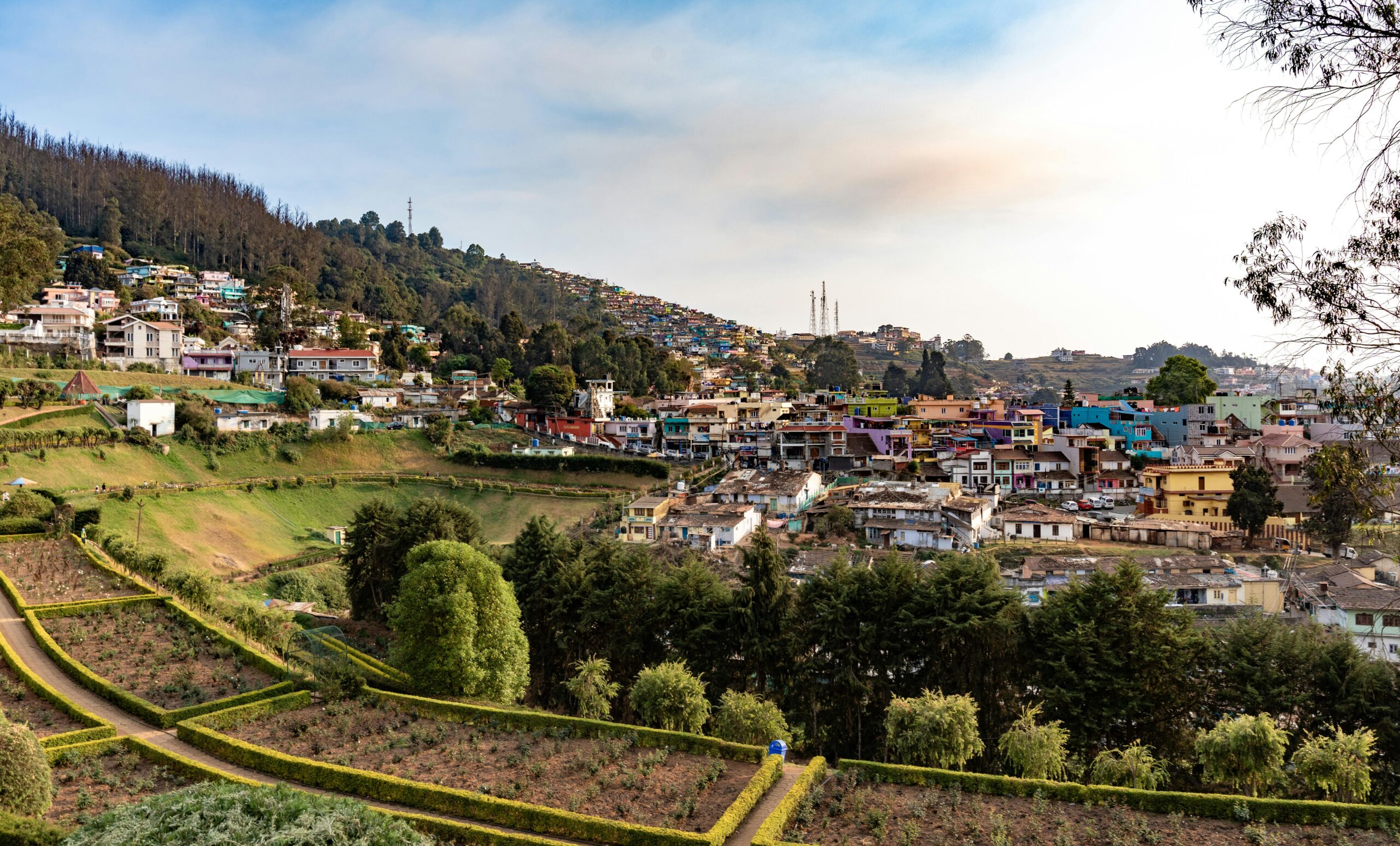 ooty scaled - ooty ooty scaled - Private Driver and Tour Guide - ooty