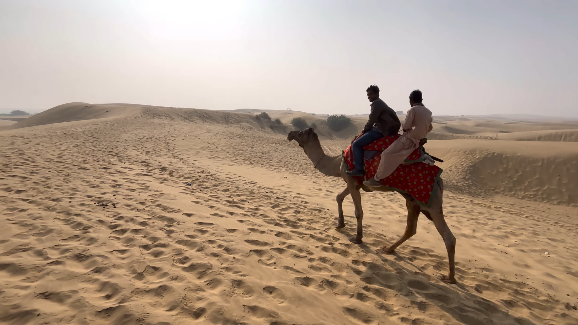 typical camel safari