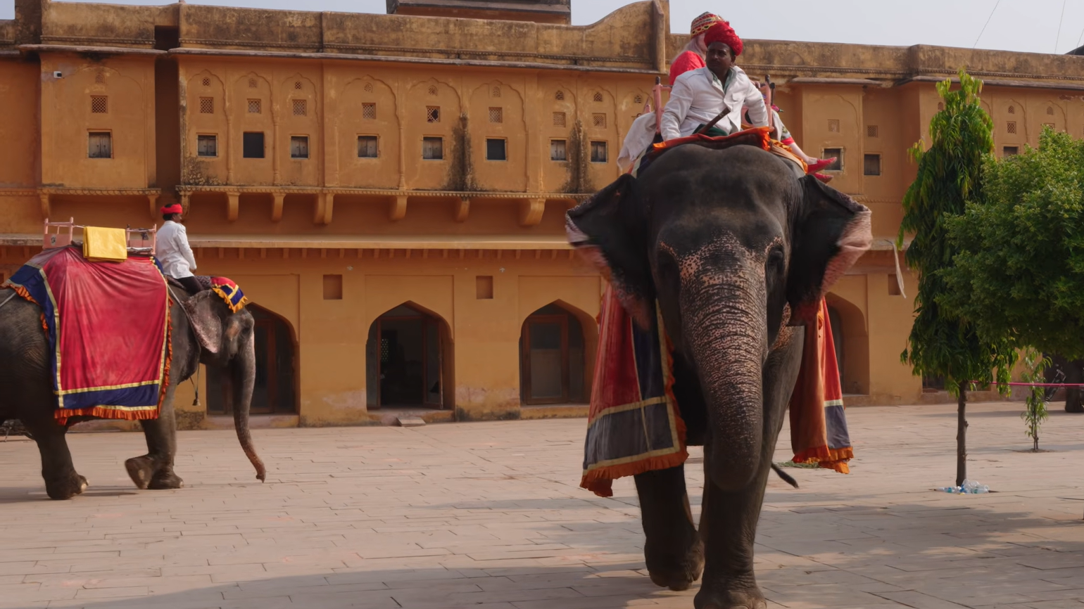 Travel India with Elderly Parents