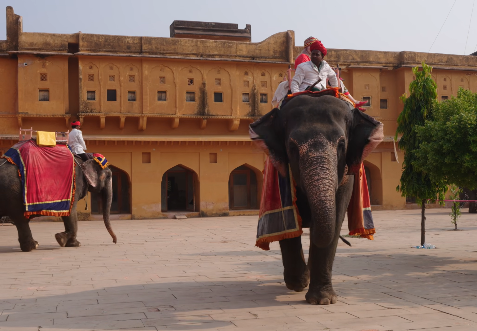 Travel India with Elderly Parents 